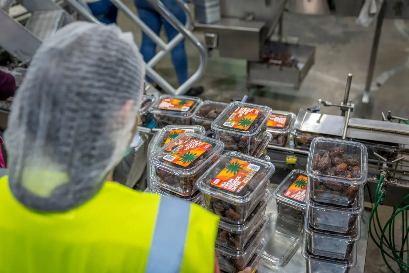 食品加工企业虫控工程关键控制点与合规审查要点正文配图 1