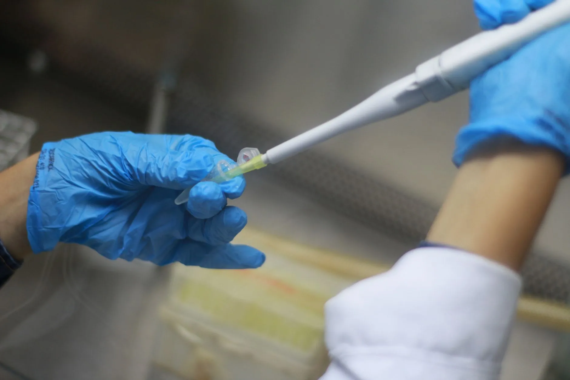 广西博克有害生物治理服务与环保药剂技术优势详解