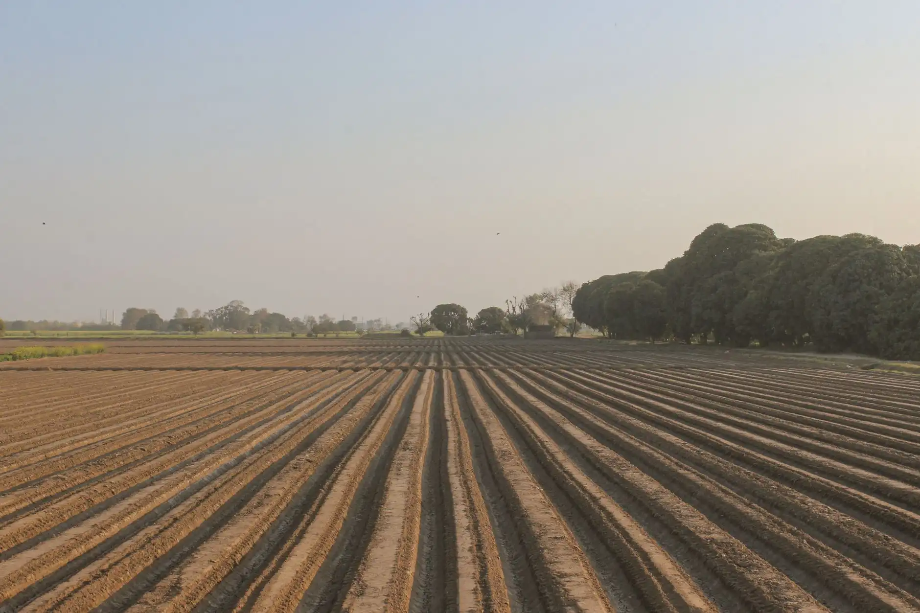 广西博克有害生物防治有限公司虫控工程案例解析与行业趋势