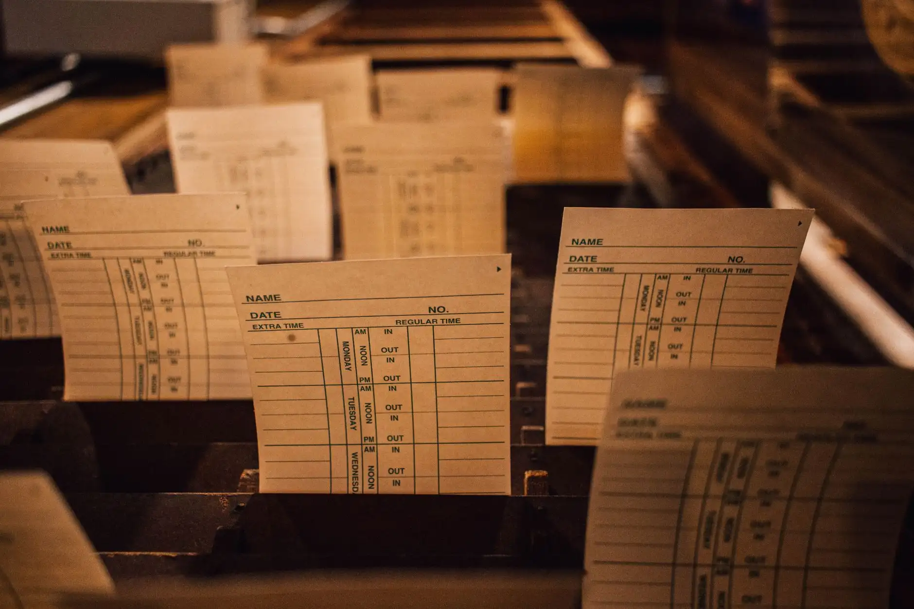 餐饮门店虫鼠害防治服务技术对比与环保药剂选择指南