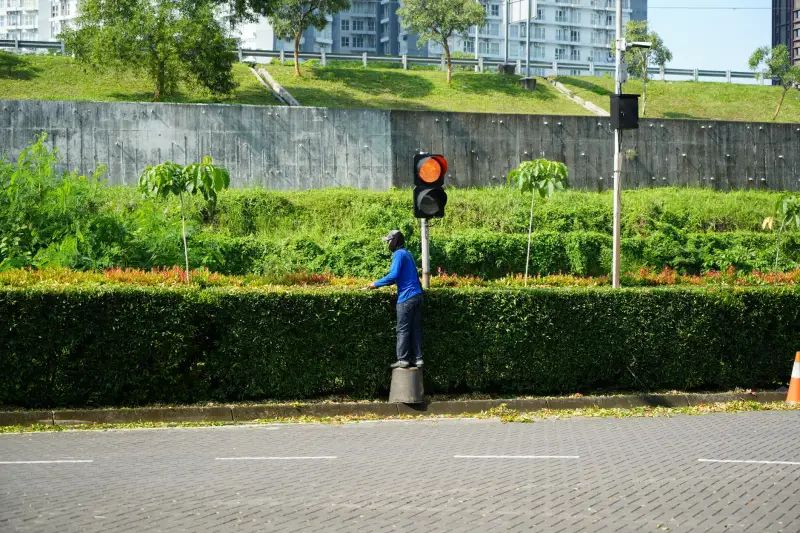 食品加工企业虫控工程审核要点与广西博克防治实践