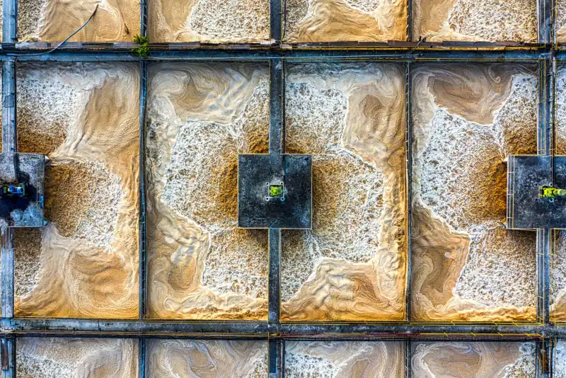 食品加工企业虫控工程建设要点：生物防治与科学施药技术解析