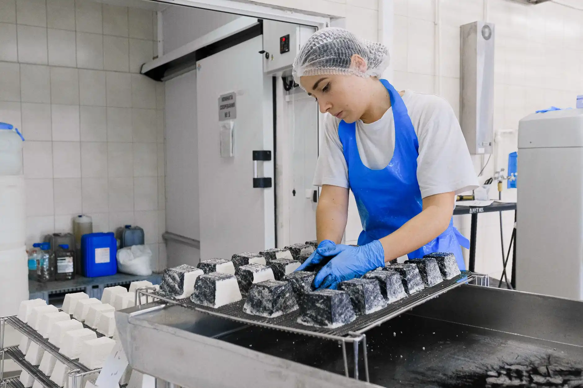广西博克有害生物防治：食品加工企业虫控工程服务方案详解正文配图 1