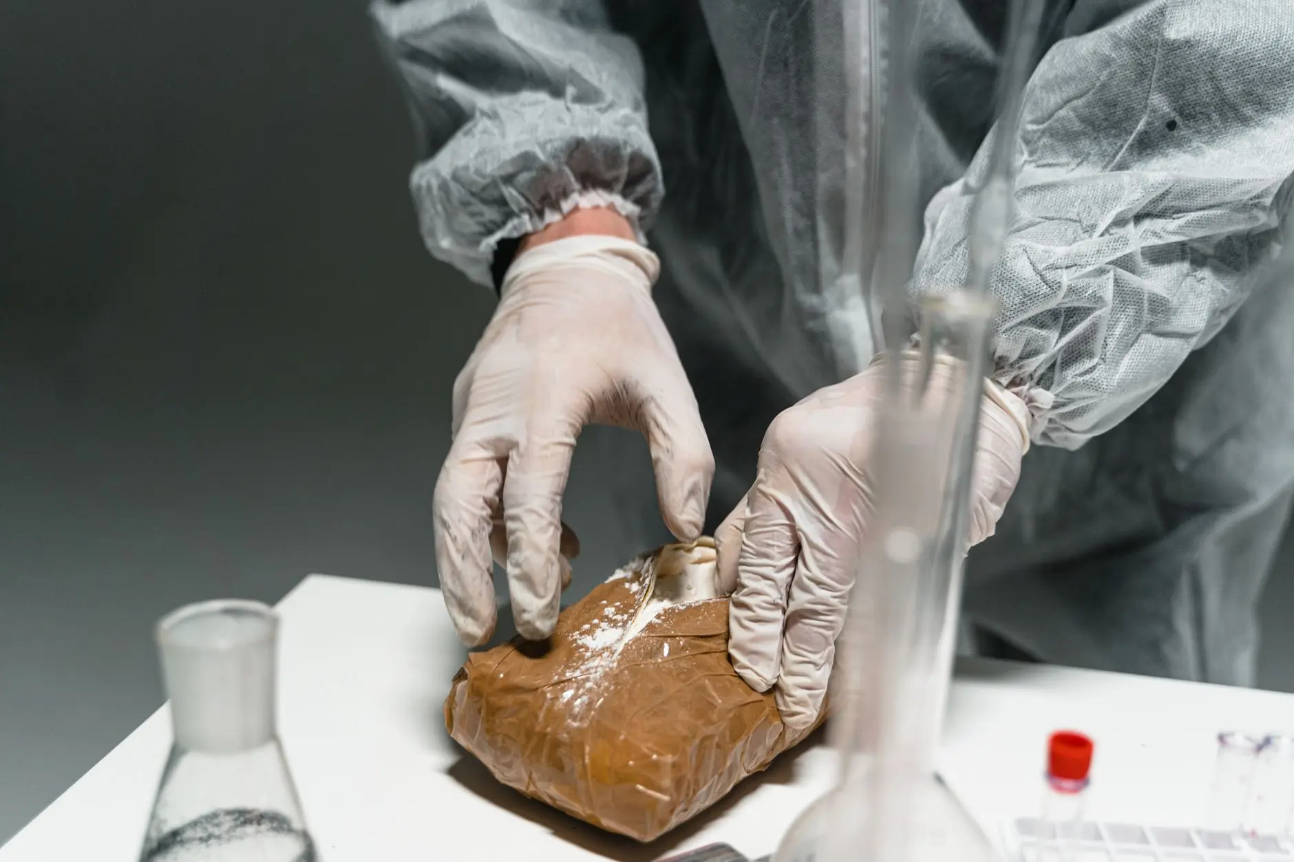 广西食品加工企业虫控工程服务方案设计与实施要点