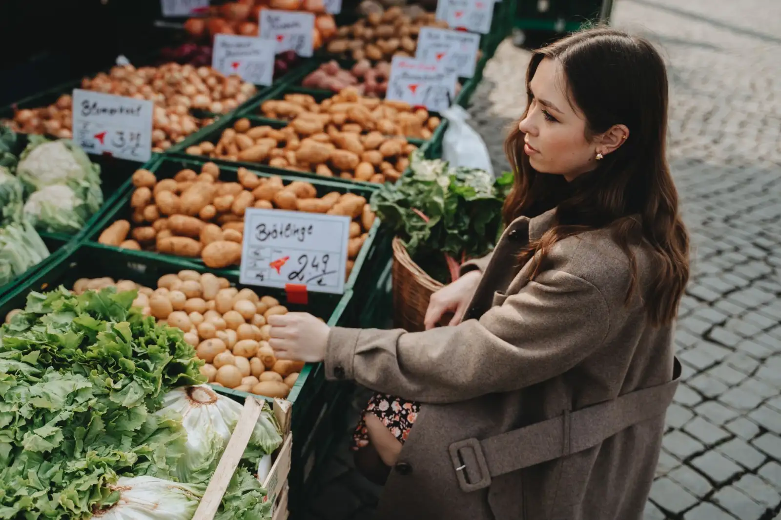 食品加工企业虫控工程体系建设与环保药剂应用实践