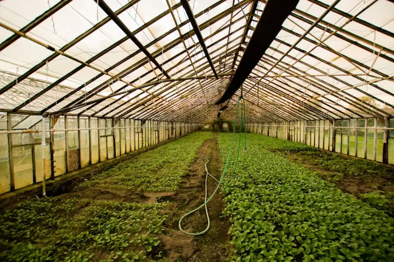 食品加工企业虫鼠害防治要点及环保药剂应用规范