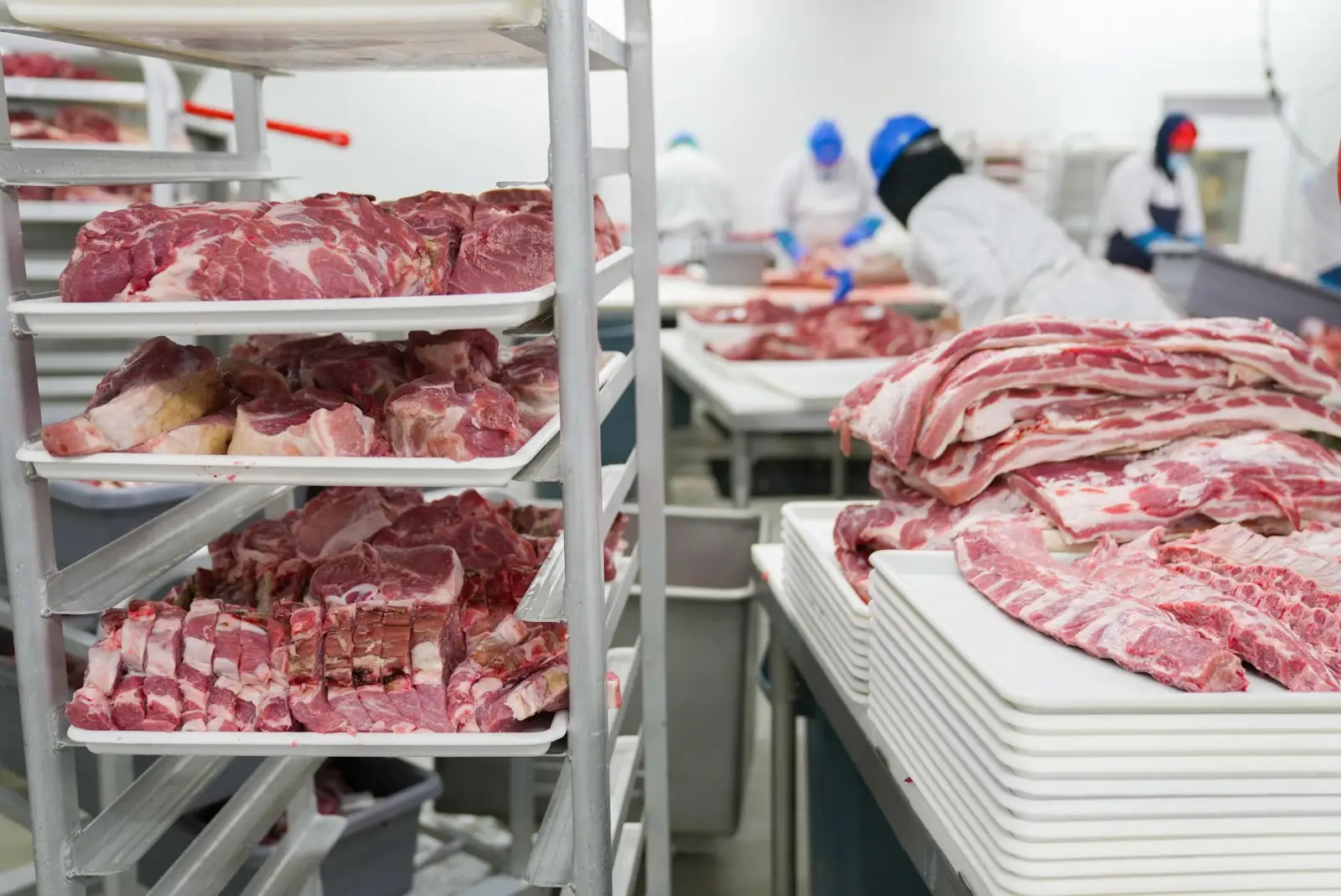 广西博克生物防治服务在食品加工企业的虫控工程应用案例