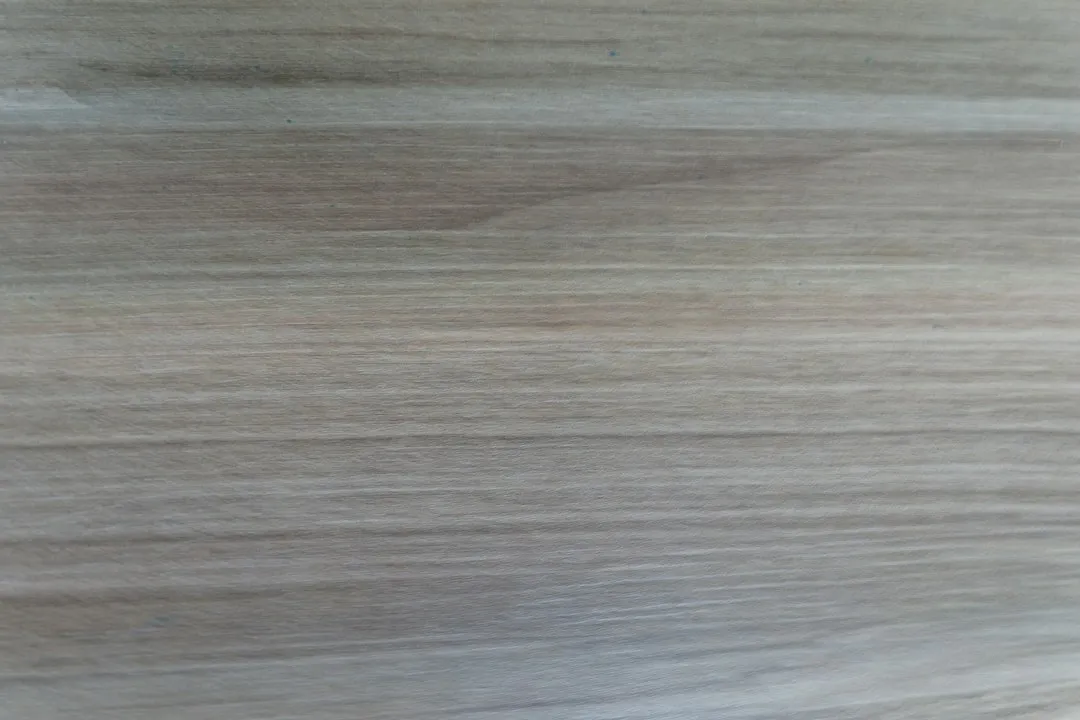 餐饮门店消毒服务与虫鼠害治理的常见误区及应对策略