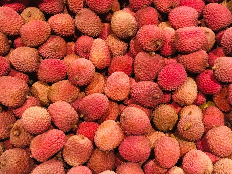 食品加工企业虫控工程实施要点：从环境评估到科学施药的完整流程解析
