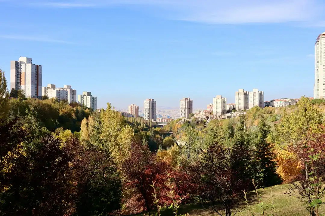 公共场所卫生消毒服务标准与博克虫控技术优势对比