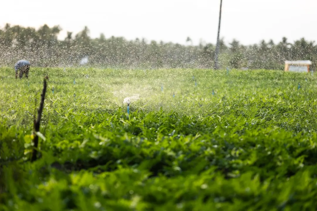 广西博克有害生物防治有限公司虫控工程案例解析与行业趋势