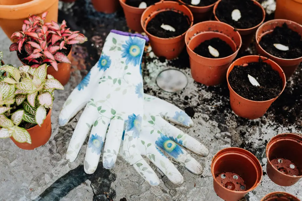 餐饮门店消毒服务与虫鼠害防治的协同方案设计要点