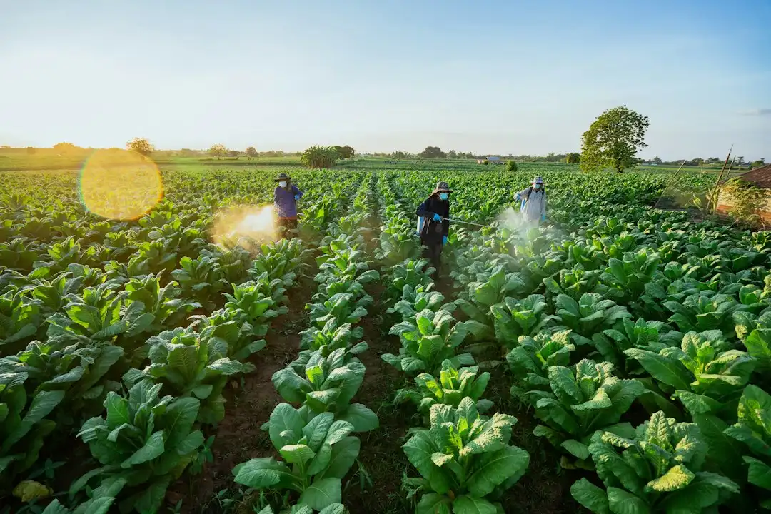 食品加工企业虫控工程建设中的生物防治技术应用解析正文配图 2